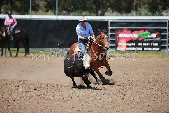 CowraCampdraft_0896