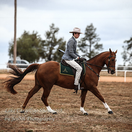 LakeCargelligo2018_0310