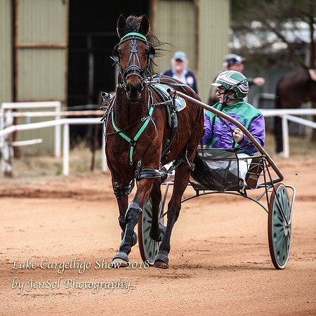 LakeCargelligo2018_0364