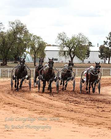 LakeCargelligo2018_0961