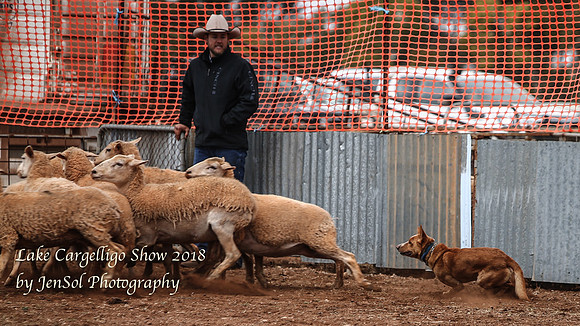 LakeCargelligo2018_0124