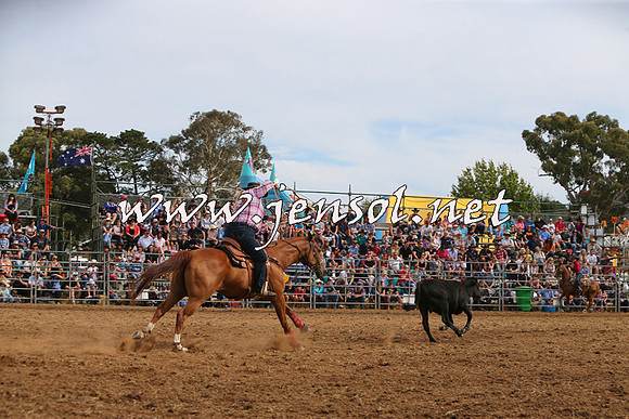 QueanbeyanRodeo2015_2726