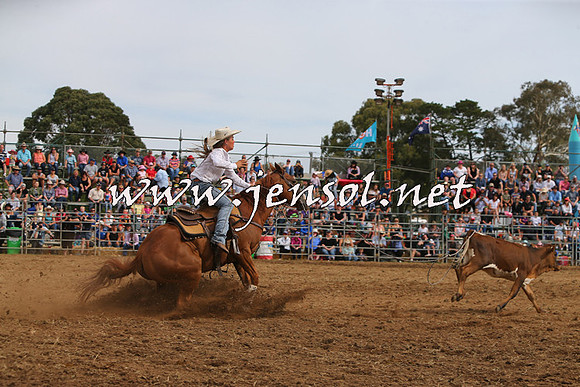 QueanbeyanRodeo2015_2698