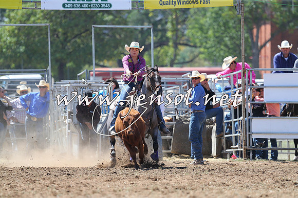 QueanbeyanRodeo2015_1753
