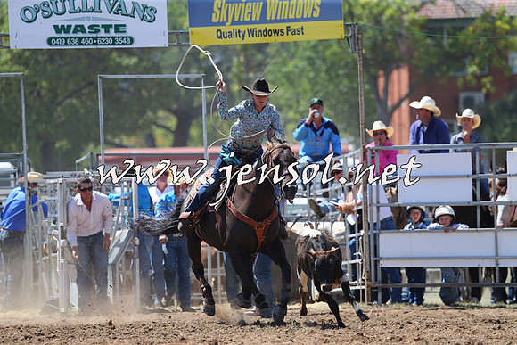 QueanbeyanRodeo2015_1786