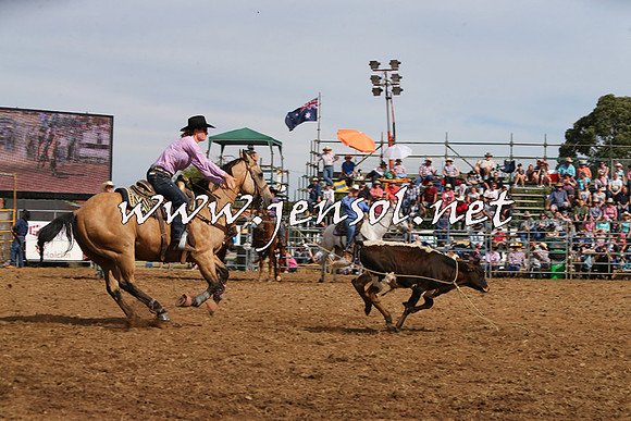 QueanbeyanRodeo2015_2754