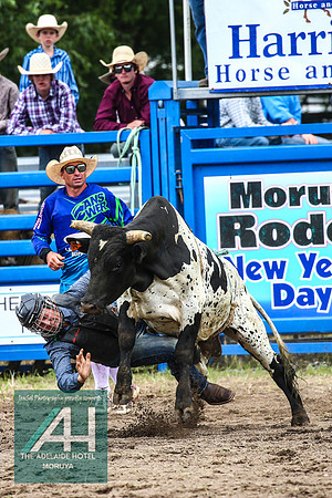 MoruyaRodeo2018_2152