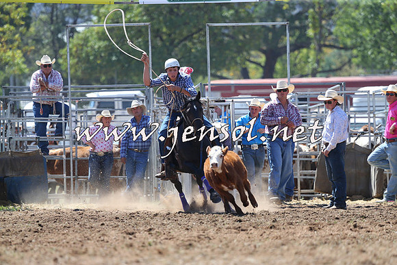 QueanbeyanRodeo2015_1335