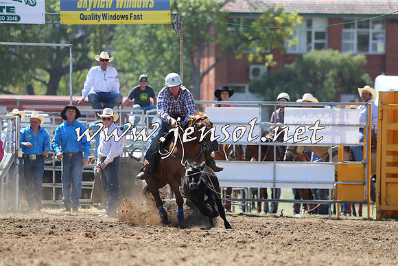 QueanbeyanRodeo2015_1397
