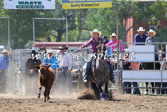 QueanbeyanRodeo2015_1749