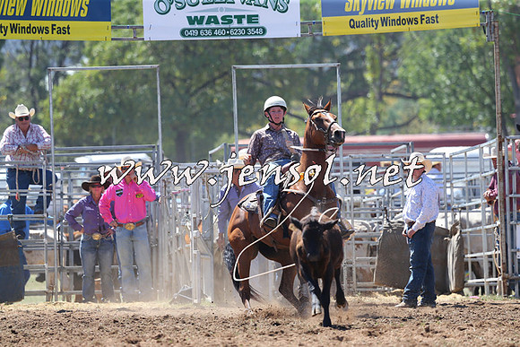 QueanbeyanRodeo2015_1327