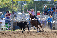 QueanbeyanRodeo2015_0597