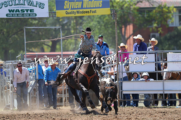 QueanbeyanRodeo2015_1781