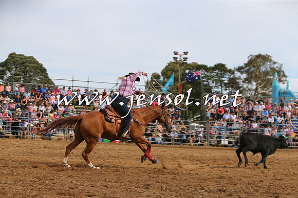 QueanbeyanRodeo2015_2729