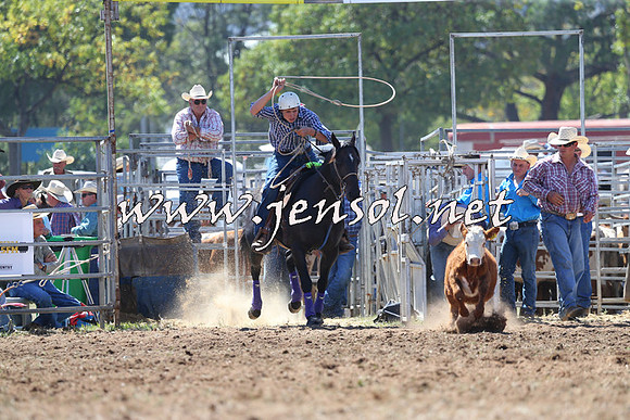 QueanbeyanRodeo2015_1339