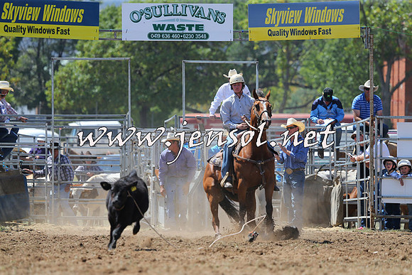 QueanbeyanRodeo2015_1830