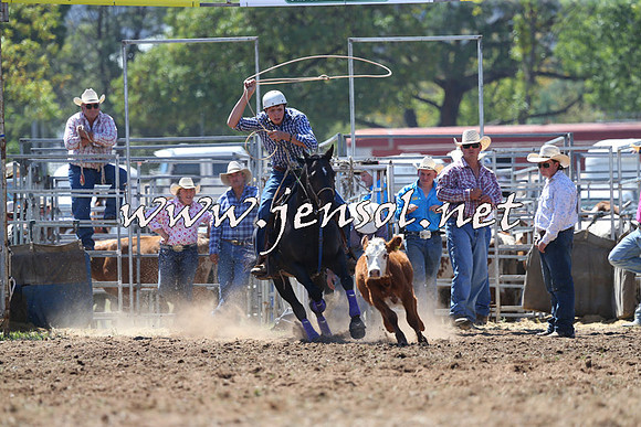 QueanbeyanRodeo2015_1334
