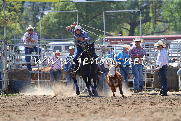 QueanbeyanRodeo2015_1337