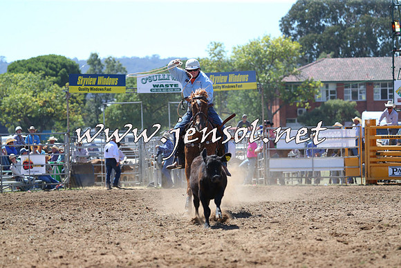 QueanbeyanRodeo2015_1384