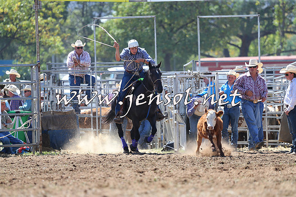 QueanbeyanRodeo2015_1338