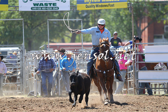 QueanbeyanRodeo2015_1378