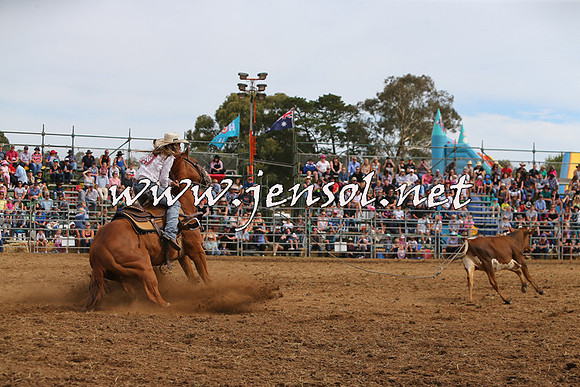 QueanbeyanRodeo2015_2706