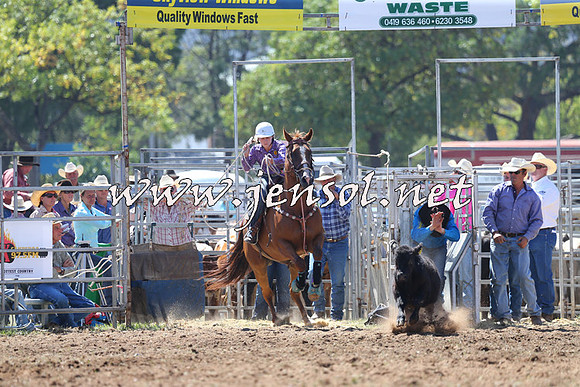 QueanbeyanRodeo2015_1359