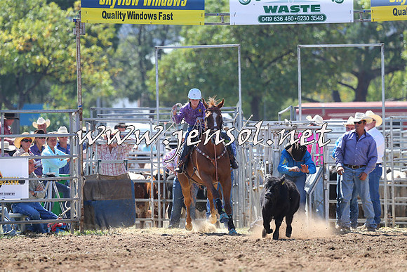 QueanbeyanRodeo2015_1357