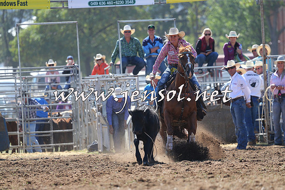 QueanbeyanRodeo2015_0591