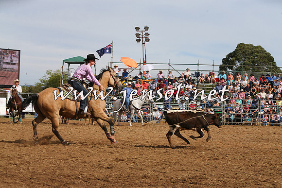 QueanbeyanRodeo2015_2752