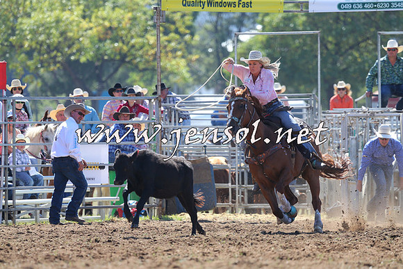 QueanbeyanRodeo2015_0599