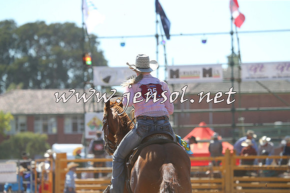 QueanbeyanRodeo2015_0600