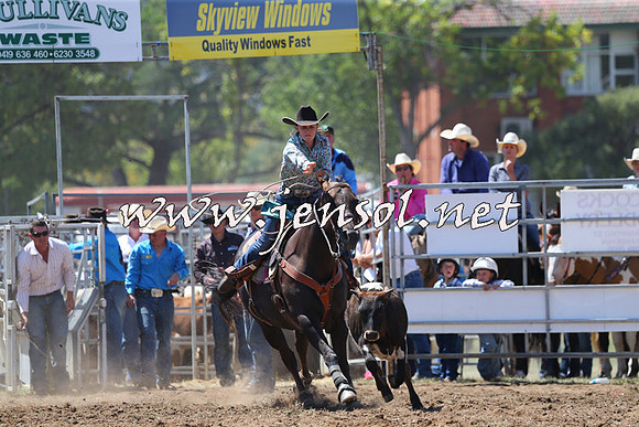 QueanbeyanRodeo2015_1779