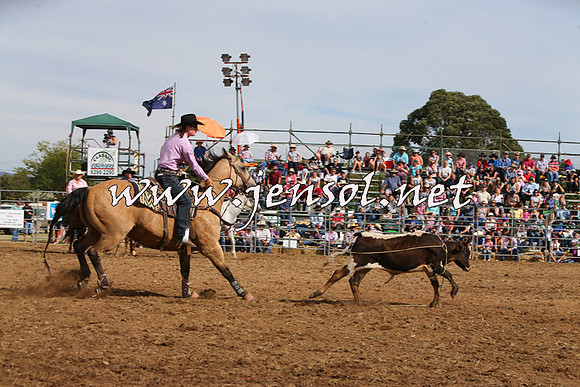 QueanbeyanRodeo2015_2753
