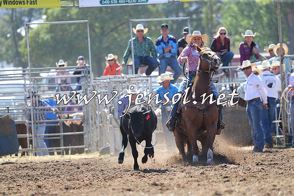 QueanbeyanRodeo2015_0594