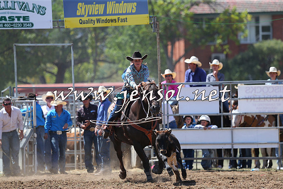 QueanbeyanRodeo2015_1783