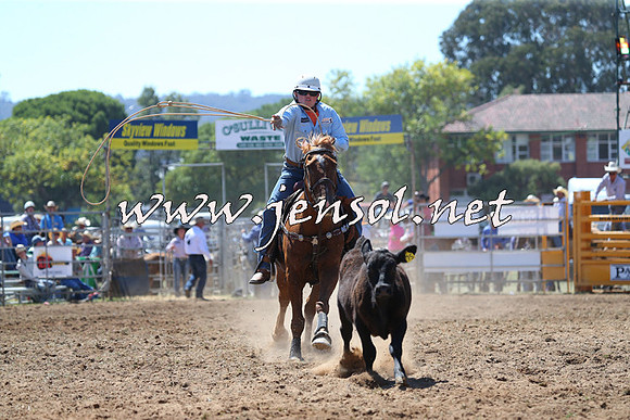 QueanbeyanRodeo2015_1393