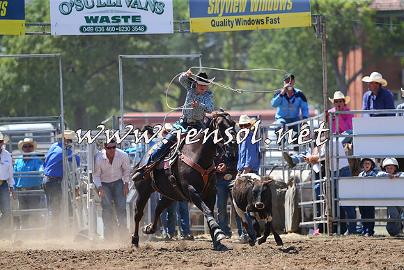 QueanbeyanRodeo2015_1785