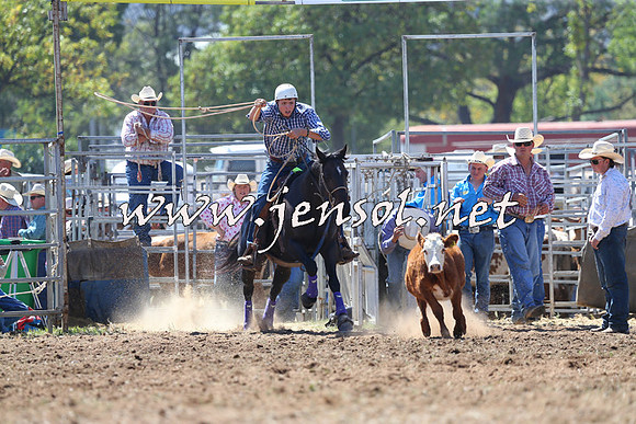QueanbeyanRodeo2015_1340