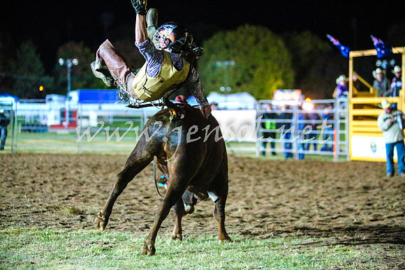 BathurstShow2017Fri_1801