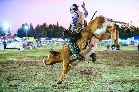 BathurstShow2017Fri_1364