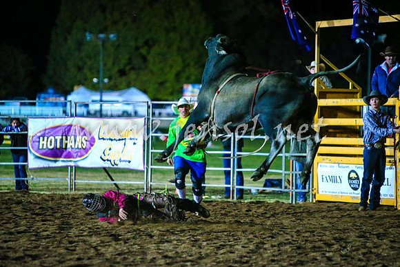 BathurstShow2017Fri_1898