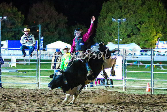 BathurstShow2017Fri_1694