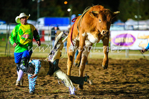 BathurstShow2017Fri_1991
