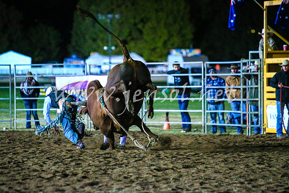 BathurstShow2017Fri_2194