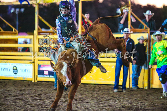 BathurstShow2017Fri_1284
