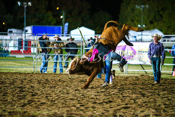 BathurstShow2017Fri_1933