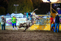 BathurstShow2017Fri_1271