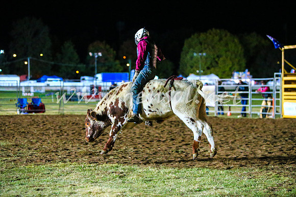 BathurstShow2017Fri_2058
