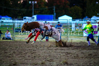 BathurstShow2017Fri_1252